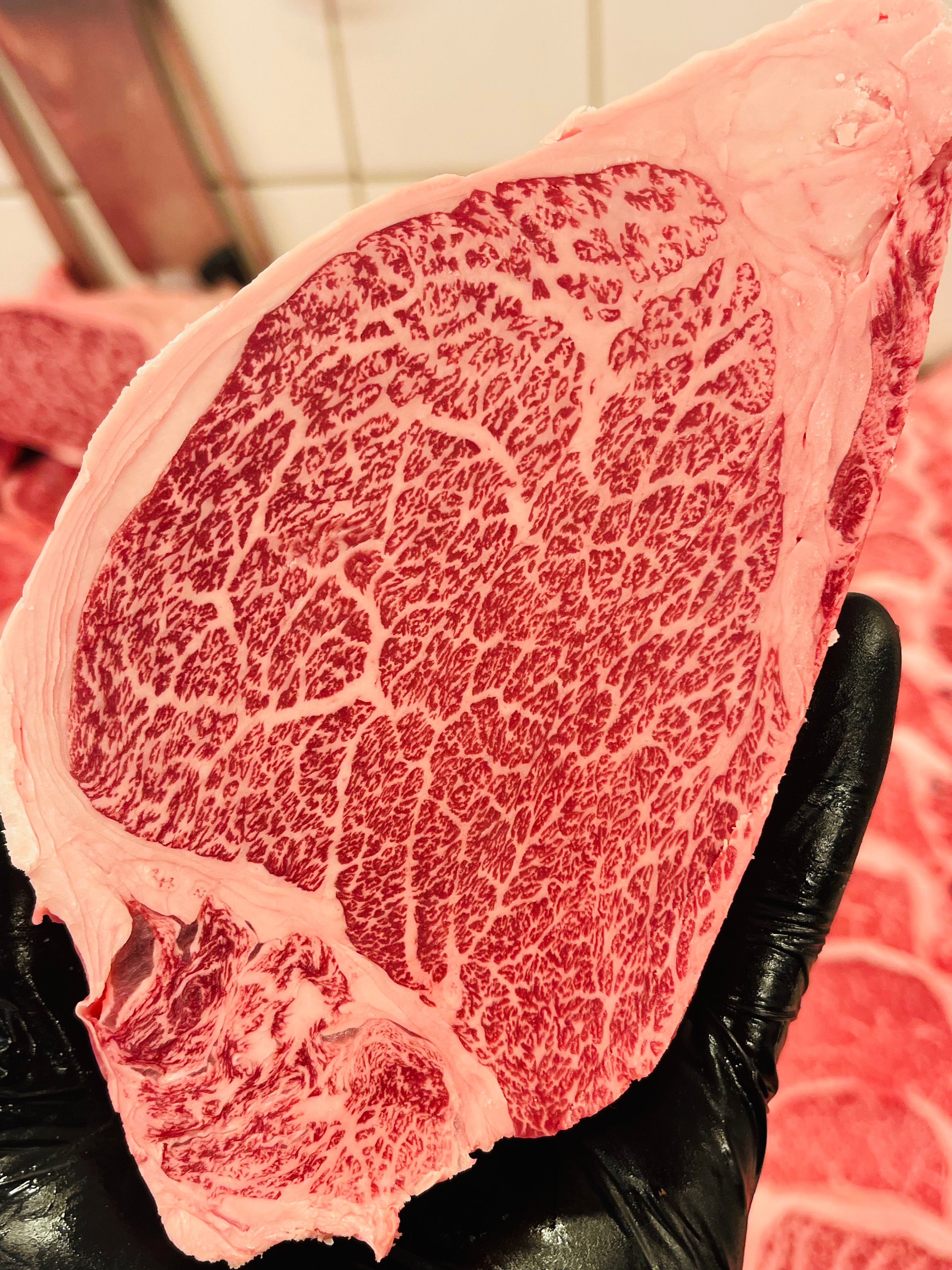 Fuldblods Wagyu mørbrad bøf fra Japan SPAR 64%